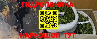 apvp Краснознаменск