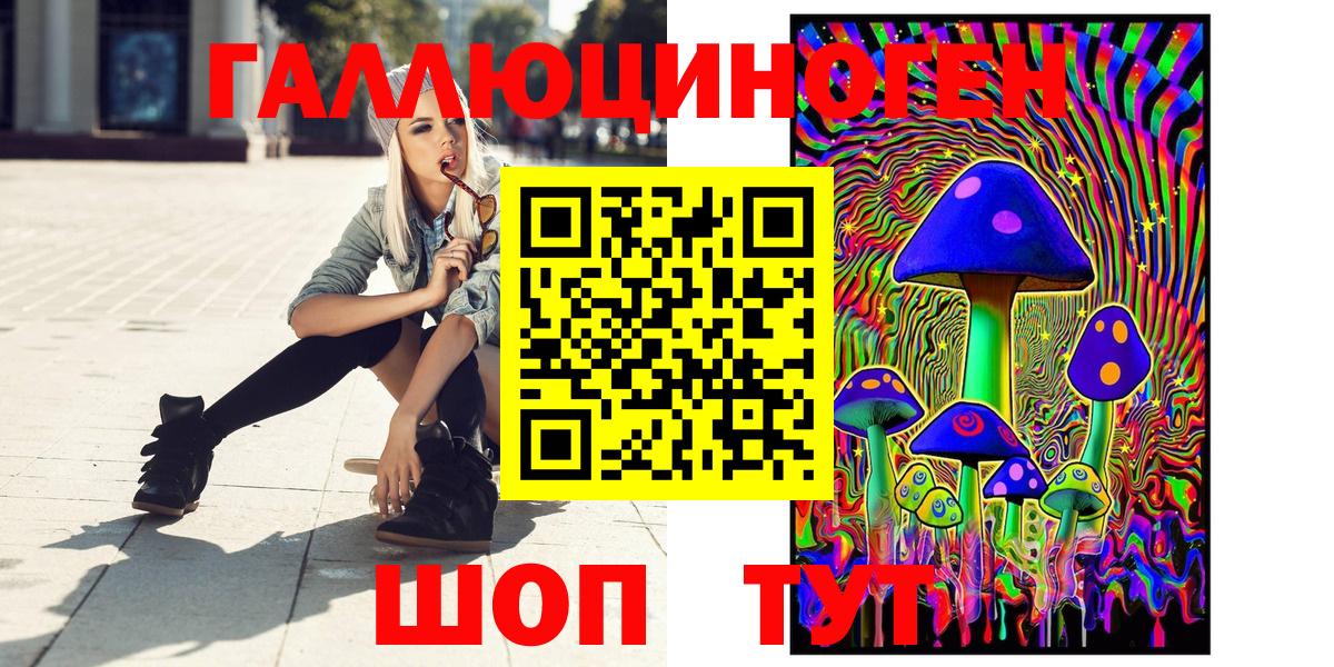 Псилоцибиновые грибы Psilocybe  Вход с VPN  Кувандык 