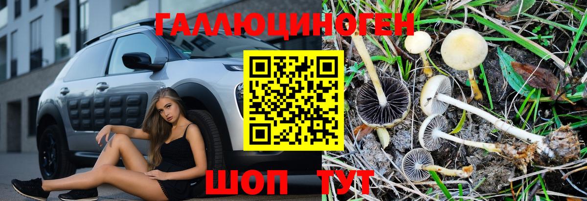 Псилоцибиновые грибы мицелий Кувандык
