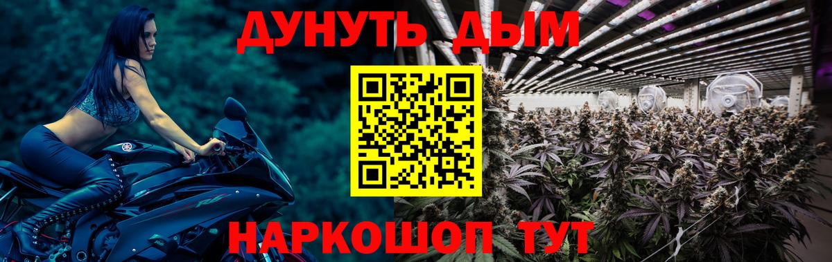 Кувандык  Конопля сатива  МАРИХУАНА Bruce Banner  Каннабис Ganja  МАРИХУАНА семена  Вход с VPN 
